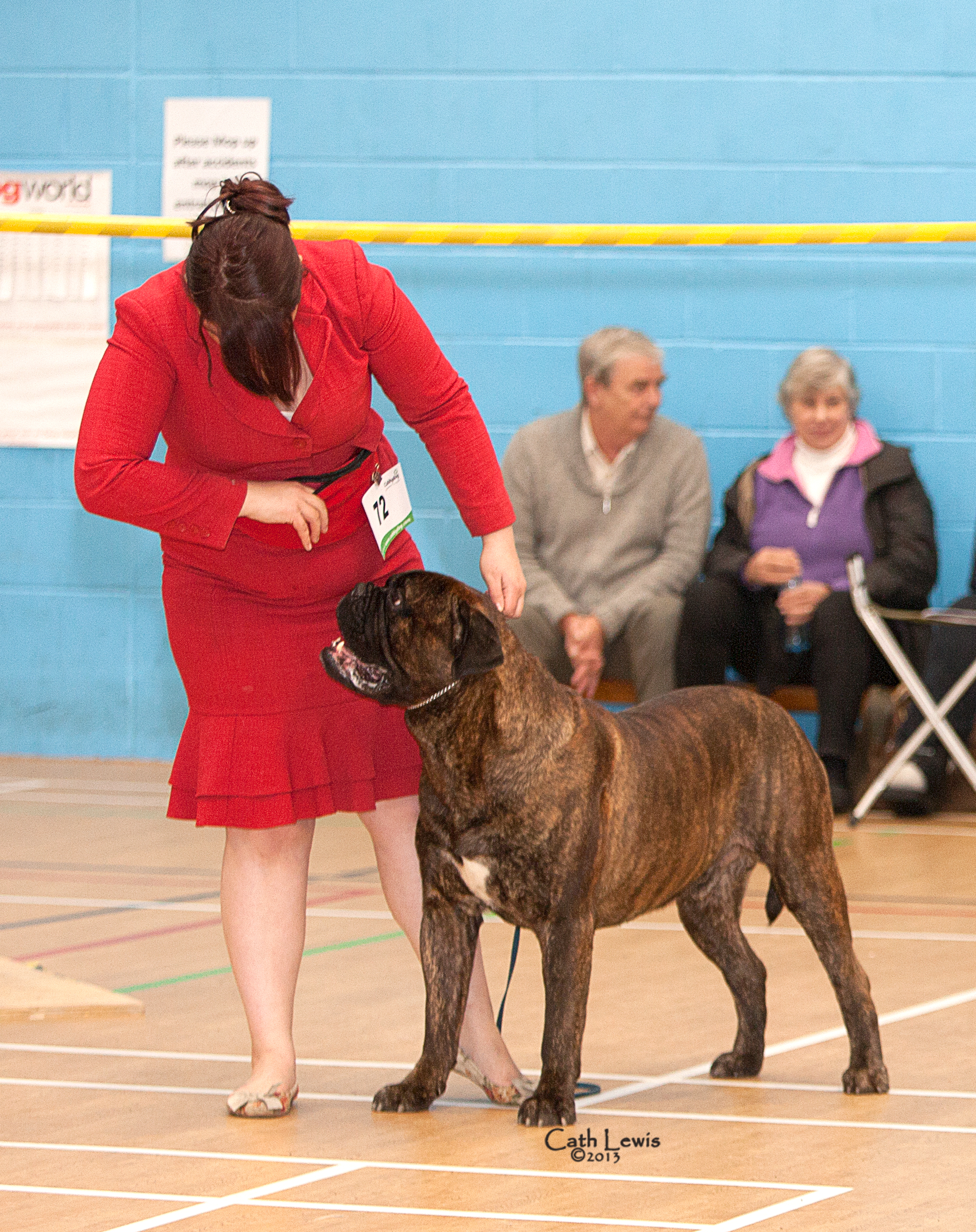 NBC Silver Jubilee Champ Show November 2013